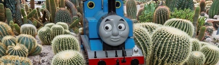cactusoase pasen cactusoase pasen